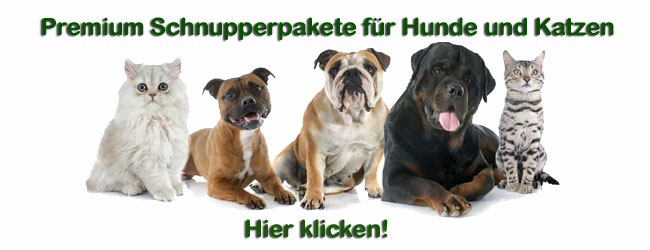 Schnupperangebote für Hunde und Katzen
