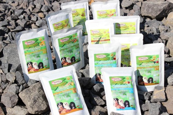 Hunde - Vorrats-Set - 12 Sorten je 12 Stk